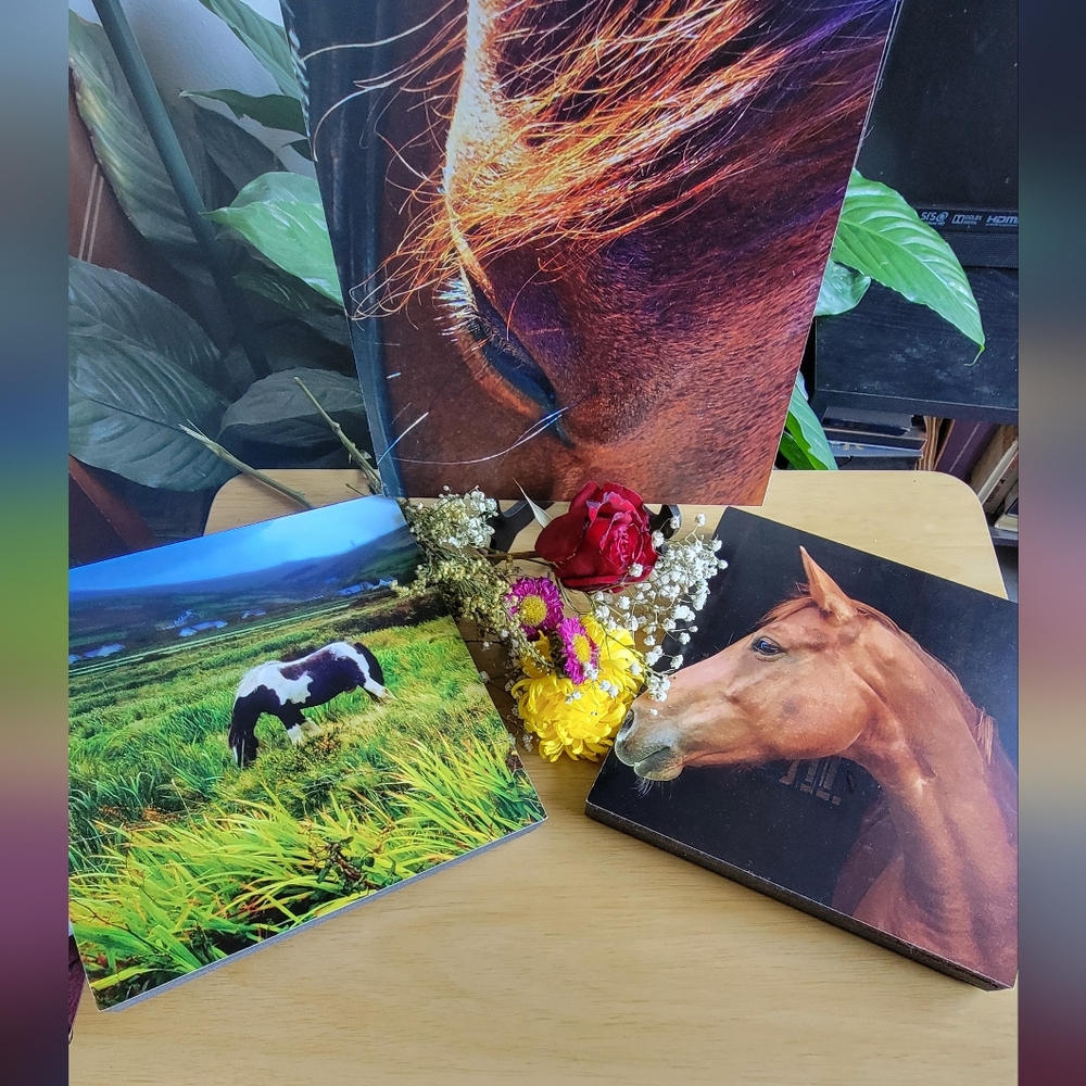 Horse Wall Art Set Of 3  🐎
